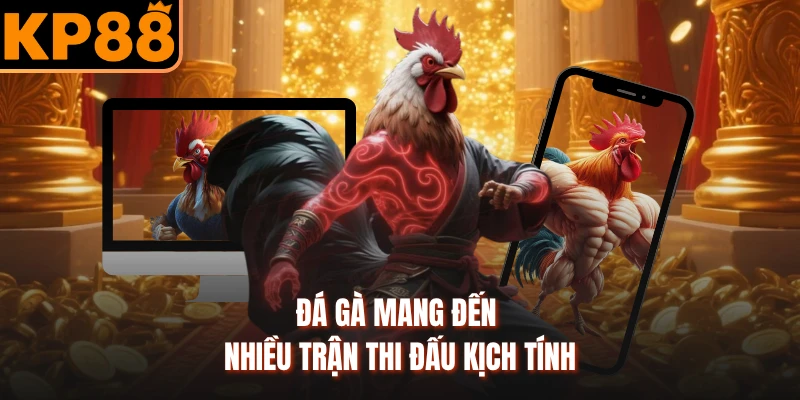 Đá gà mang đến nhiều trận thi đấu kịch tính