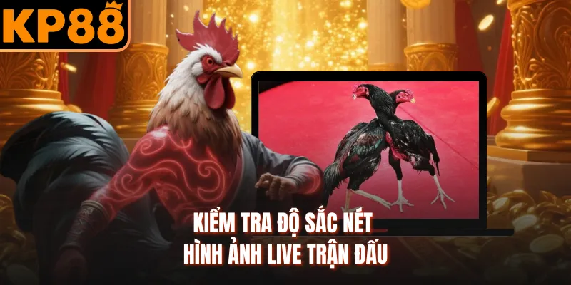 Bảng odds cựa gà đá cập nhật theo nhiều tiêu chí