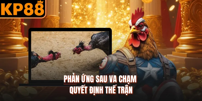 Người chơi phân tích thông tin trận trước khi cược