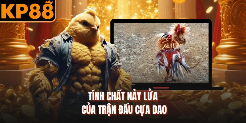 Tính chất nảy lửa của trận đấu cựa dao